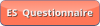  Emotional Support Questionaire